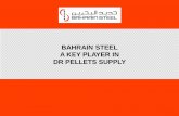 BAHRAIN STEEL A KEY PLAYER IN DR PELLETS · PDF file8 To ensure the Company continues uninterrupted production of its DR Pellets, Bahrain Steel has secured its high-quality iron ore