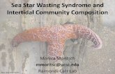 Sea Star Wasting Syndrome and Intertidal … Star Wasting Syndrome and Intertidal Community ... – Sea star density • Mussel recruitment ... Sea Star Wasting Syndrome and Intertidal