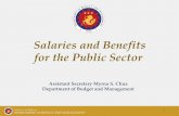 Salaries and Benefits for the Public Sector - PAGBApagba.com/wp-content/uploads/2016/03/SSL-2015.pdf · Salaries and Benefits for the Public Sector ... • The salary progression