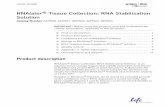 RNAlater Tissue Collection: RNA Stabilization Solution · PDF fileRNAlater® Tissue Collection: RNA Stabilization Solution ... 2 RNAlater® Tissue Collection: RNA Stabilization Solution