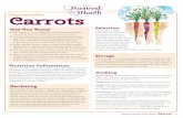 Classroom Bites Carrots - Montana State University BitesCarrots Montana Harvest of the Month: Carrots 1 Did You Know • The carrot is a root vegetable of the Apiaceae family. sold