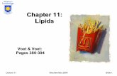Chapter 11: Lipids - libvolume7.xyzlibvolume7.xyz/nursing/bsc/1styear/biochemistry/lipids/lipidsnotes... · Lecture 11 Biochemistry 2000 Slide 2 Lipids Lipids are distinguished by