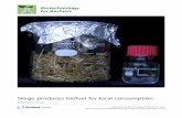 Silage produces biofuel for local consumption - Springer · PDF fileSilage produces biofuel for local consumption ... Background: In the normal process of bioethanol production, biomass