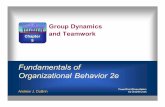 Fundamentals of Organizational Behavior 2elibvolume6.xyz/.../thegroups/thegroupspresentation2.pdfGroup Dynamics and Teamwork Fundamentals of Organizational Behavior 2e Andrew J. DuBrin