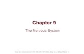 Chapter 9 The Nervous System - Linn-Benton Community ...cf.linnbenton.edu/mathsci/bio/klockj/upload/Chapter_009.pdf · Chapter 9 The Nervous System. ... •Peripheral nervous system