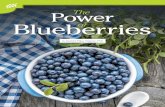 Power The Blueberries - · PDF fileAgricultural and Food Chemistry.23 After the 12-week inter - ... grow significantly taller than the lowbush shrubs ... medicine practices of Europe