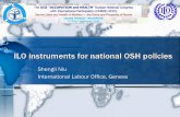 Shengli Niu International Labour Office, Geneva International Labour Organization was founded to ensure everyone the right to earn a living in freedom, equity, dignity and security,