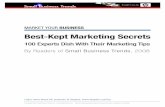 Market your Business - Marketing Agency, Marketing Coach ... · PDF fileBEsT-KEpT MarKETing sEcrETs ... Les Bain, Wizard Creek Consulting ... using business cards or blogging, can