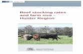Beef stocking rates and farm size - Hunter · PDF fileBeef stocking rates and farm size—Hunter Region Authors: ... producers to increase productivity and become more competitive.