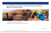 Essentials of Anatomy & Physiology, 4th Edition …pleasanton.k12.ca.us/fhsweb/cuozzo/Handouts/01introduction/01...Essentials of Anatomy & Physiology, 4th Edition Martini/Bartholomew