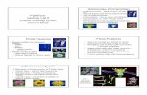 Lecture List 5 sunflower sedges09 - Idaho State …willcha2/courses/b213f11/Lecture List 5...2 Taraxacum and Cichorium - Ligulate Cirsium and Cynaria - Discoid Echinacea Helianthus