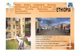 Addis Ababa Integrated Housing Development … Wube Ermed Urban planner,M.sc Addis Ababa Housing Development Project Office, Sub City Project Manager
