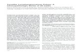 Tonsillar Lymphangiomatous Polyps: A Clinicopathologic ...lesterthompsonmd.com/pdf/ModPathol-2000-10_Tonsillar... · Tonsillar Lymphangiomatous Polyps: A Clinicopathologic Series
