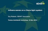 Terena Architects workshop, 12 Nov 2014 · PDF fileInfinera waves on a Ciena light system Guy Roberts, GEANT Association . Terena Architects workshop, 12 Nov 2014
