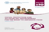SOCIAL PROTECTION AND AN ENABLING ENVIRONMENT · PDF filesocial protection and an enabling environment for the right to adequate ... social protection and an enabling environment for