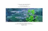 Comanche Springs Pupfish (Cyprinodon elegans) · PDF fileComanche Springs Pupfish (Cyprinodon elegans) 5-Year Review: Summary and Evaluation ... In 1996, a wetland named San Solomon