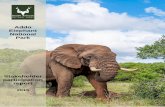 Addo Elephant National LAN · PDF file · 2016-06-13This report is the accompanying report to the revised draft Addo Elephant National Park ... SANParks guidelines for stakeholder