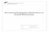 Perceived Employee Motivation in Social Businesses538104/FULLTEXT01.pdf · Perceived Employee Motivation in Social Businesses A Case Study of a Finnish Social Business Master’s
