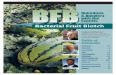 Bacterial Fruit Blotch - SeedQuest 2 There are many diseases that can affect watermelon and melons. Why does BFB receive so much attention? DH: There are several reasons. First, it