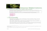 Arizona Watermelons Case Scenario - Fibre Box Arizona Watermelons model is a fair and accurate representation of a real-world packaging and distribution system. It compares the economics