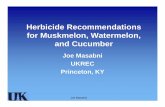 Herbicide Recommendations fM k l Wt lfor Muskmelon ... Recommendations fM k l Wt lfor Muskmelon, Watermelon, and Cucumber Joe Masabni UKREC Princeton, KY Joe Masabni