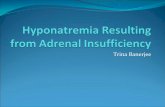 Hyponatremia Resulting from Adrenal Insufficiency · PDF fileOutline Categories of Adrenal Insufficiency Hyponatremia Pathophysiology: in general Glucocrticoid deficiency Aldosterone