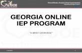 GEORGIA ONLINE IEP PROGRAM - uat.gadoe.org · PDF fileGEORGIA ONLINE IEP PROGRAM ... Bibb County Jefferson County ... portal for the annual survey –DOE obtains this from GO-IEP 1/12/2016