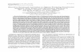 Mucoid-to-Nonmucoid Conversion in Alginate …jb.asm.org/content/176/21/6677.full.pdf · Mucoid-to-Nonmucoid Conversion in Alginate-ProducingPseudomonas ... genesmaybecotranscribed.Aprimerextensionanalysis