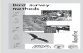 Bird survey methods - NSW Environment & · PDF fileBird survey methods Baseline survey Animal welfare ... Point count method The basic method that has been chosen is based on setting