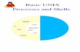 Basic UNIX Processes and Shells - Iowa State · PDF fileBasic UNIX Processes and Shells Shell Scripts Specifying the shell to be used: On the first line of the file: ... Basic UNIX