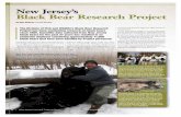 New Jersey’s Black Bear Research Project Jersey’s Black Bear Research Project The Division of Fish and Wildlife’s Black Bear Research Project has been conducting research on