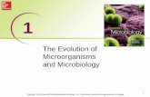 The Evolution of Microorganisms and slime molds – two life cycle stages (protist-like and fungus-like) ... the impact of microorganisms on agriculture – food safety microbiology