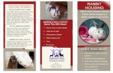 RABBIT HOUSING - Oshkosh Area Humane Society · PDF fileDoes my rabbit need a cage? ... rabbit happy in its home. RABBIT HOUSING OAHS 1925 Shelter Ct Oshkosh, WI 54901 920.424.2128