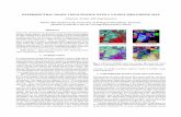 HYPERSPECTRAL IMAGE VISUALIZATION WITH A 3-D  · PDF fileHYPERSPECTRAL IMAGE VISUALIZATION WITH A 3-D SELF-ORGANIZING MAP ... Visualizing the data is