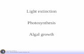 Light extinction Photosynthesis Algal growth - unipd.itlasa.dii.unipd.it/mces//LEX/14_mces.pdf · Light extinction Photosynthesis Algal growth . ... incident photons in the visible