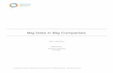 Big Data in Big Companies Data in Big Companies Date: May 2013 Authored by: Thomas H. Davenport Jill Dyché . ... Companies like GE, UPS, and Schneider National are