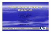 Trickle Irrigation Design for Blueberries1).pdf · Trickle Irrigation Design for Blueberries Dr. Richard C. WarnerDr. Richard C. Warner ... –– Employ “pulse drip irrigation”