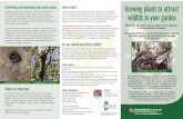 Growing plants to attract wildlife to your garden included in this guide. grow naturally in Central Queensland Coast bioregion from Proserpine to Carmilla (see map) are available commercially