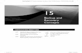 Backup and Recovery Conceptscdn.ttgtmedia.com/searchOracle/downloads/ch15.pdf · 542 Chapter 15: Backup and Recovery Concepts OracCertPrs8/OCP Oracle Database 11g (Exam Gde 1Z0-052)