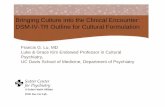 Bringing Culture into the Clinical Encounter: DSM-IV-TR ... · PDF fileBringing Culture into the Clinical Encounter: DSM-IV-TR Outline for Cultural Formulation. ... so why bother?”