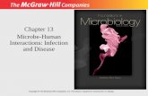 Chapter 13 Microbe-Human Interactions: Infection and …fac.ksu.edu.sa/.../files/Chap._13_Microbe-Human_Interactions.pdf · 2 Contact, Colonization, Infection, Disease •Microbes