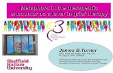 Metaphors in the therapeutic encounter as a lever in grief ... · PDF filetheoretical underpinnings of working with metaphor, more easily recognise metaphors in your session time,