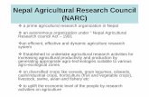 Nepal Agricultural Research Council (NARC) Fosrin presentatio… ·  · 2006-12-12an autonomous organization under " Nepal Agricultural Research council Act – 1991 ... on diversified