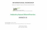 Industry based Biorefineries ANNEX XI - · PDF fileIETS Annex XI Industry‐based Biorefineries Scope & Activities The general objective is to provide a sound basis for the integration