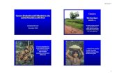Cassava Production and Utilization in Asia and its ... · PDF fileCassava Production and Utilization in Asia ... of sunny weather Cassava chipping and drying is big business in ...