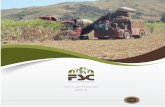 Annual Report 2015 - Fiji Sugar Corporationfsc.com.fj/reports/AnnualReport_2015.pdf · Annual Report 2015.fsc ... decision is taken and the Corporation’s future plan to build a