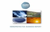 HIDROPROYECTOS: BUSINESS REPORT BUSINESS REPORT. ... DIMENSIONS •ELECTRICAL ... Feasibility study 30 2 C.H. Oros Guascor do Brasil Brasil - Construction Project 2 x 4,7