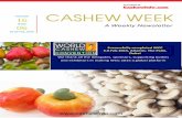 Cashew Week volume 16 issue 06 Extractionafricancashewinitiative.org/imglib/downloads/Cashew week_volume 16...VOLUME 16 ISSUE 06 01-07 Feb, 2015 Successfully co˙˝leted WCC ... CashewInfo.com