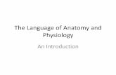 The Language of Anatomy and Physiology - · PDF fileThe Language of Anatomy and Physiology An Introduction . Anatomy •Anatomy is the study of the structure ... Biphysics’ lectures,