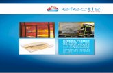 Efectis France gathers competences experiences fire safetyefectis.com/wp-content/uploads/2016/06/21_EFECTISFRANCEenglish.pdf · Efectis France gathers all the ... furnaces are able